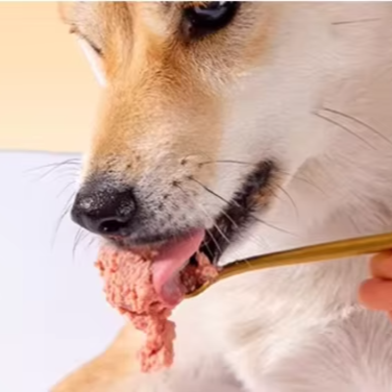 Pet Can Manufacturer - Professional Customization White Meat