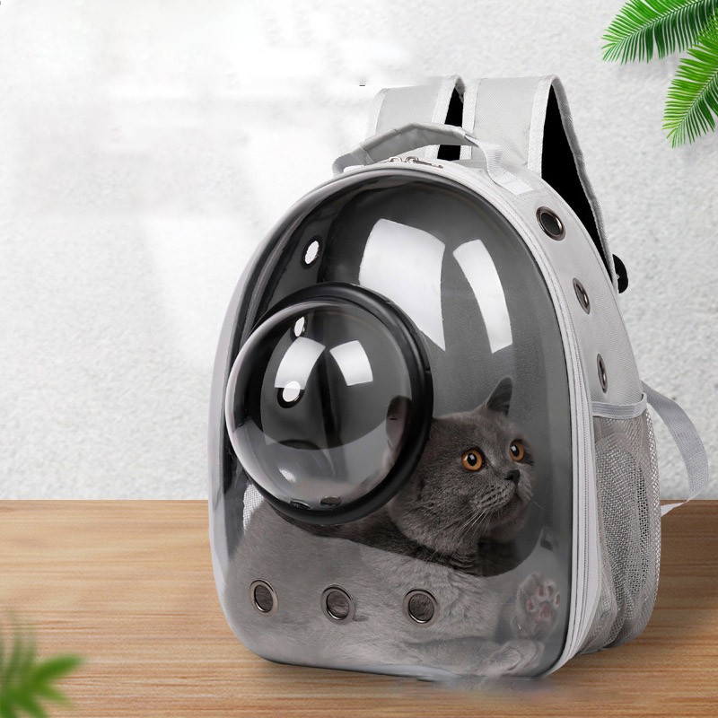 Cat Backpack Manufacturer - Panorama Transparent Air Box