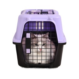 Pet Carrier Supplier - Small Breathable Air China Portable