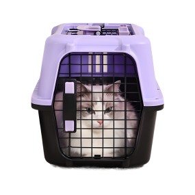Pet Carrier Supplier - Small Breathable Air China Portable