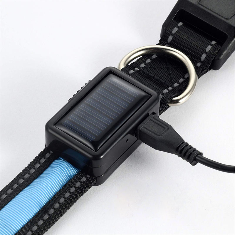 Dog Collar Factory - Waterproof Light up LED Night Walking