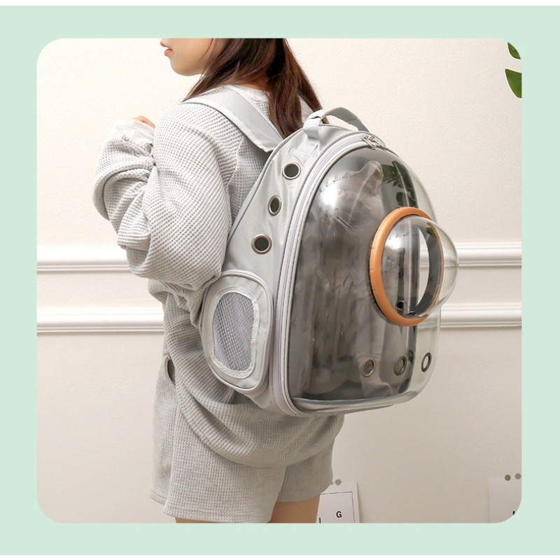 Cat Backpack Manufacturer - Panorama Transparent Air Box