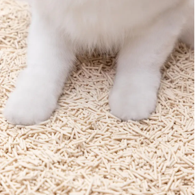 Cat Litter Manufacturer - Ultra Absorbent 7L Dust Free