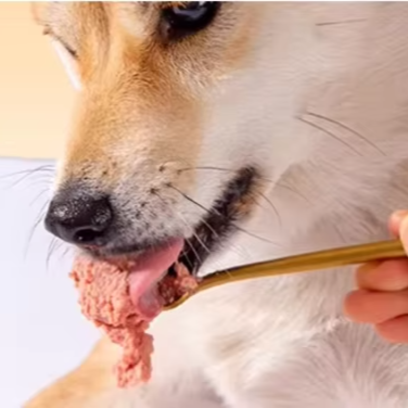 Pet Canned Food Supplier - Wholesale High Protein Value