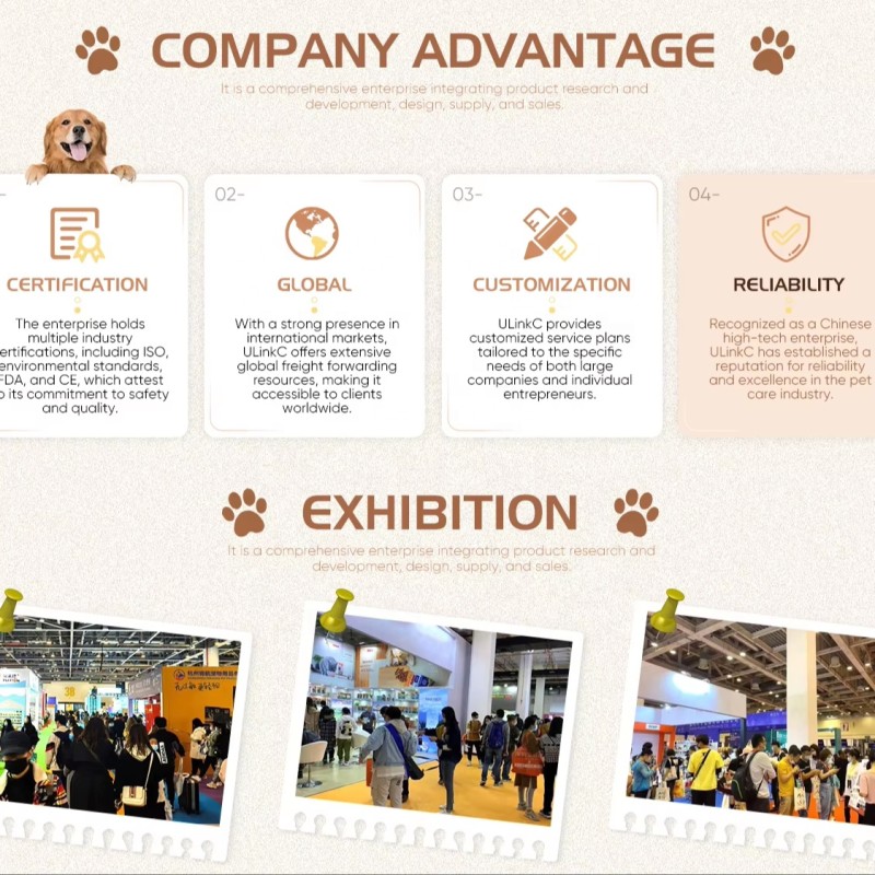 Pet Toy Supplier - Robot Tumbler Multifunction Interactive