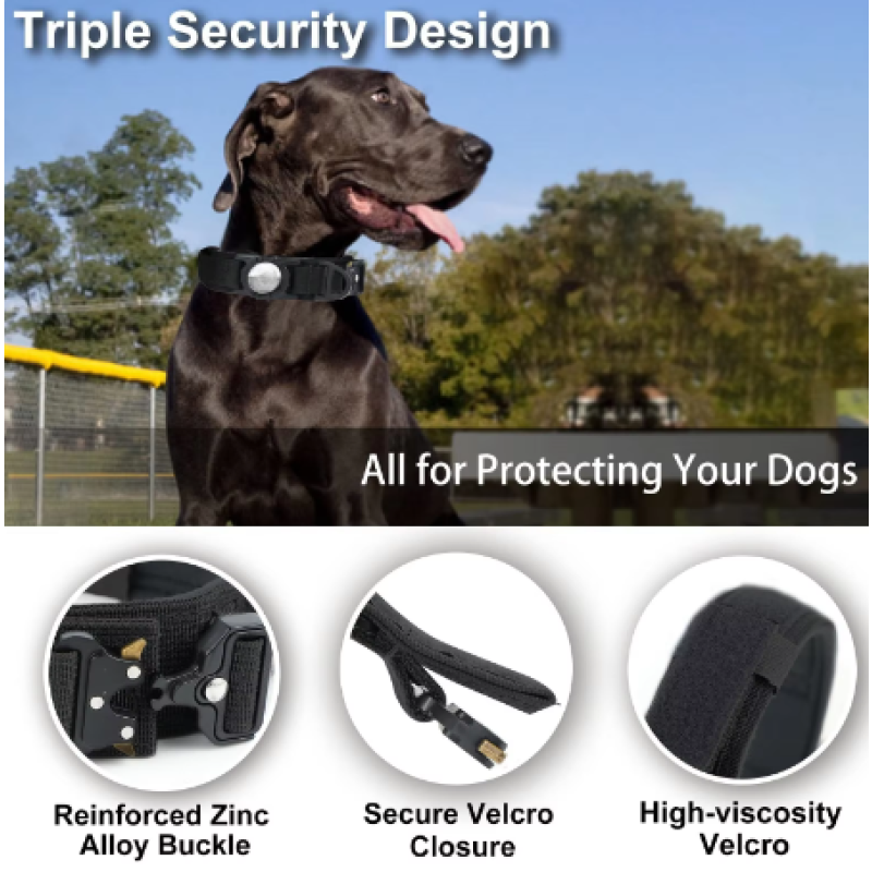 Dog Collar Manufacturer - Custom High End Nylon Air Tag