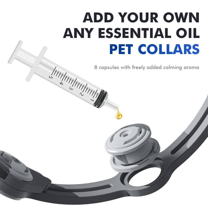 Dog Collar Manufacturer - Custom Color Waterproof TPR