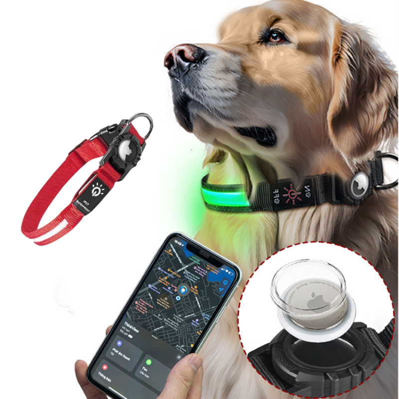 Dog Collar Factory - Waterproof Light up LED Night Walking