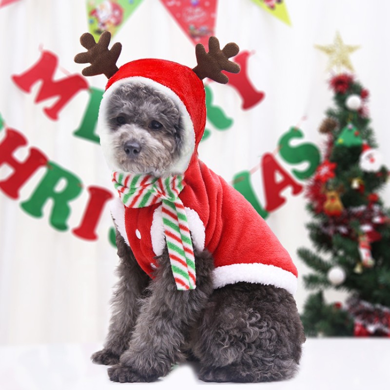 Dog Christmas Factory - Santa Costume With Hat Small Cats