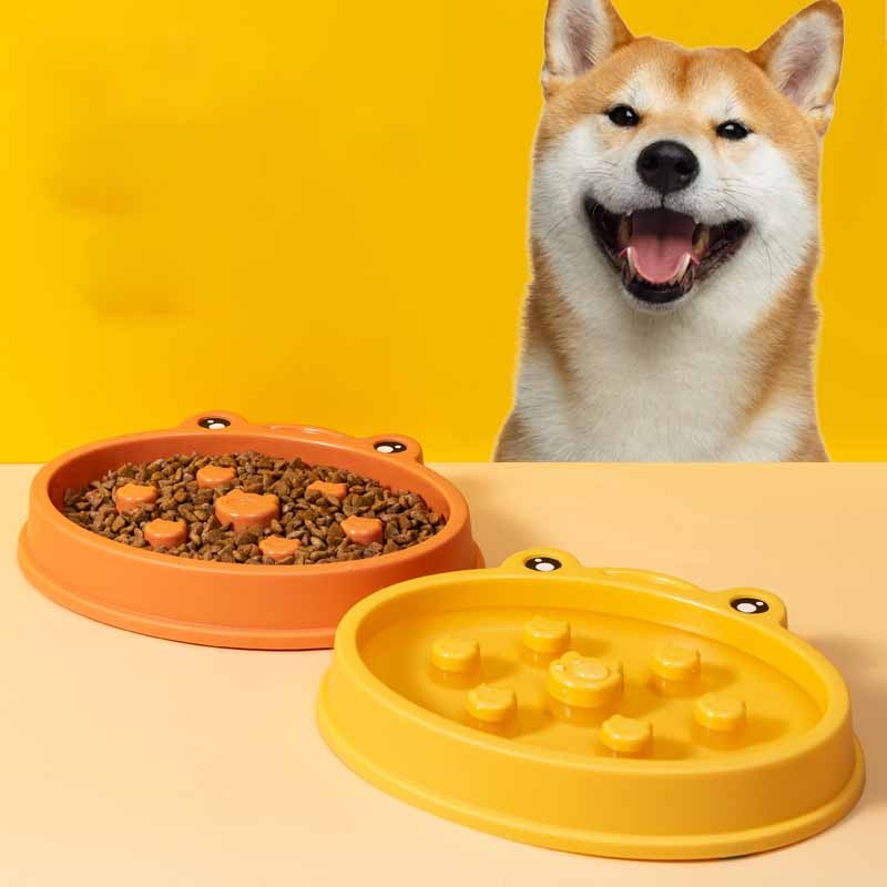 Slow Feeder Bowl Supplier - Large Anti-Chocking Maze Puzzle