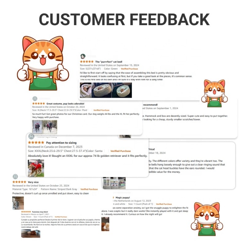 Automatic Water Feeder Factory - Factory Wholesale Nonslip