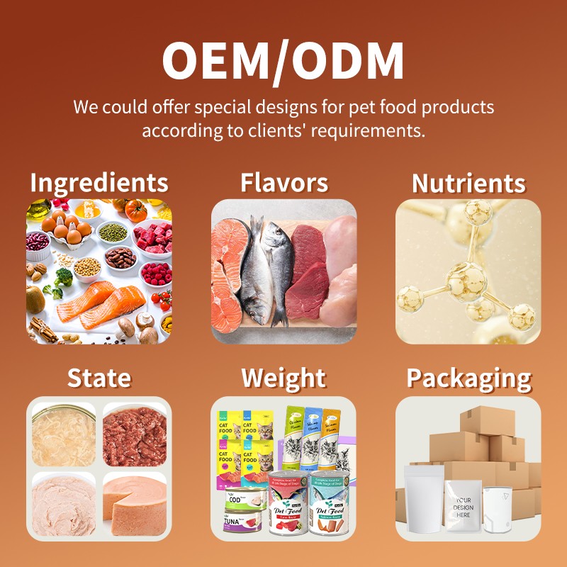 Cat Treats Manufacturer - 80g Best-Selling Skin Coat Health