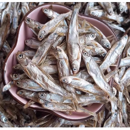 Freeze-Dried Treats Supplier - Premium 250g Bulk Multi Spring