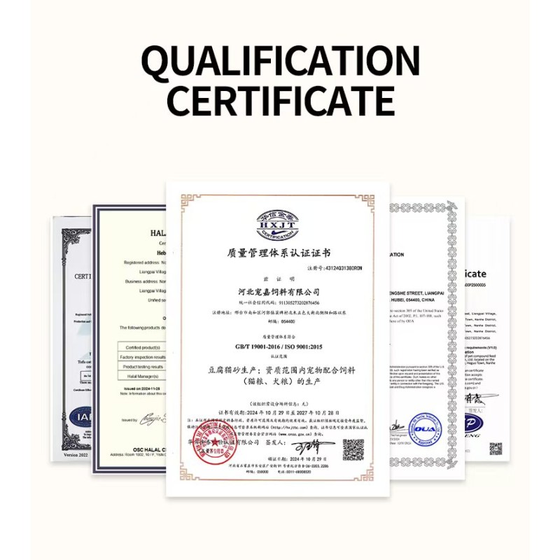 Cat Food Manufacturer - OEM 900g High-Protein Chicken Fish