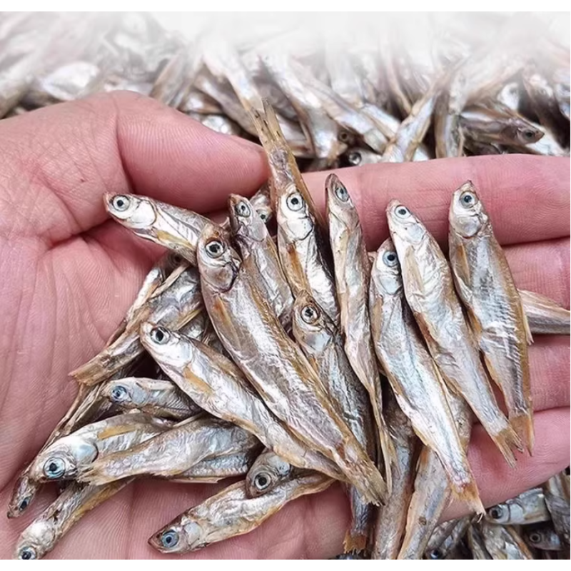 Freeze-Dried Treats Supplier - Premium 250g Bulk Multi Spring