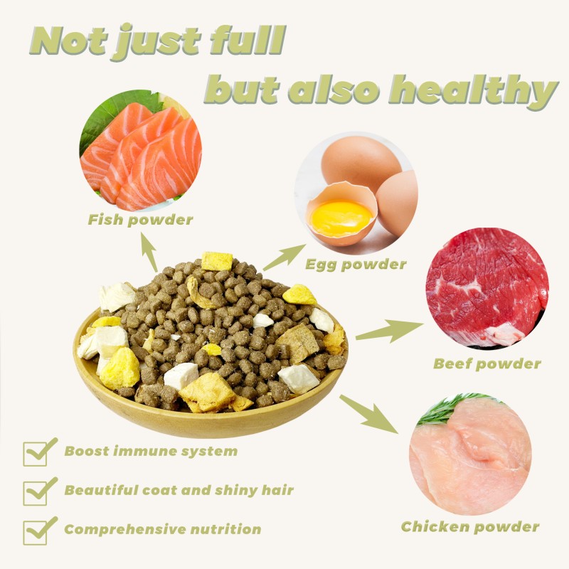 Cat Food Manufacturer - Custom Zipper Sealing Natural Chicken