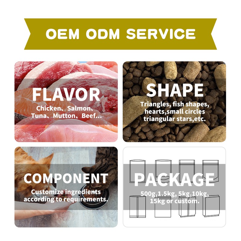 Cat Dry Food Factory - Wholesale Beef Flavor All Ages