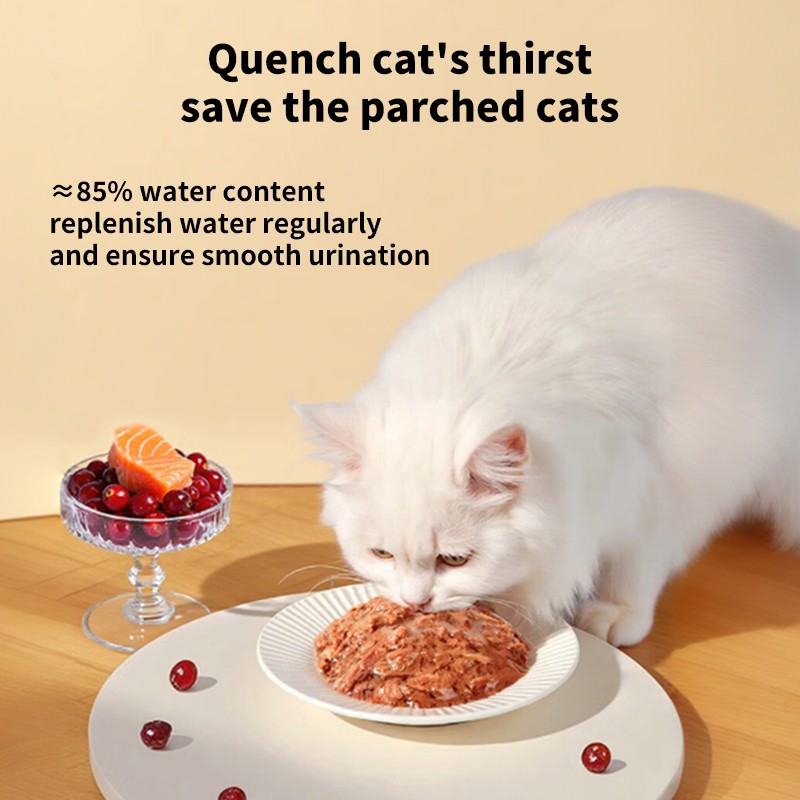 Cat Food Supplier - Wholesale 80g Mackerel Flavor Adult