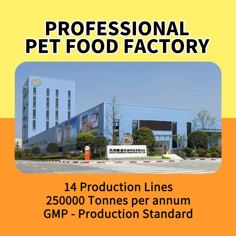 Pet Food Supplier - Balanced Nutrition Various Flavors Shapes