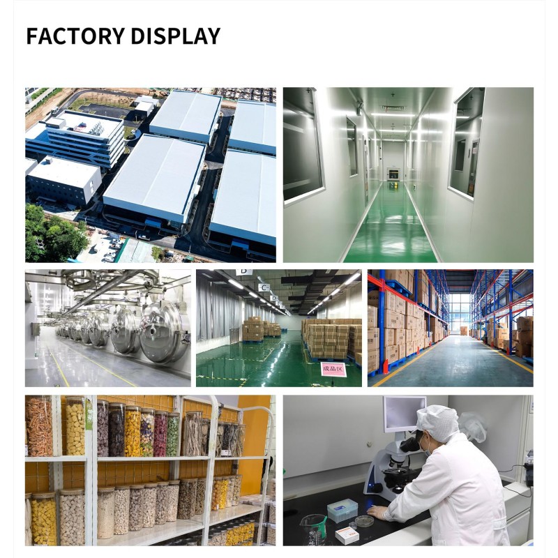 Cat Food Manufacturer - OEM 900g High-Protein Chicken Fish