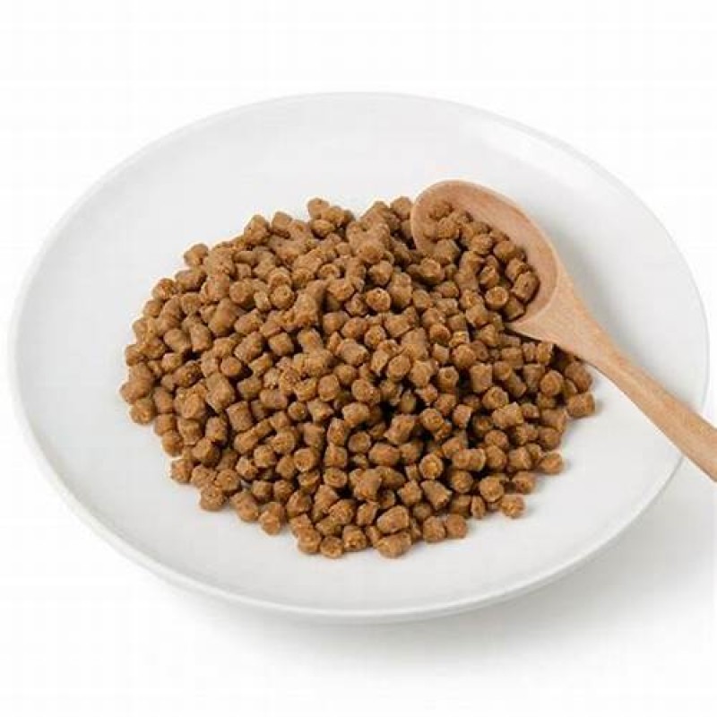 Cat Food Supplier - China Factory Grain-free 1kg Adult