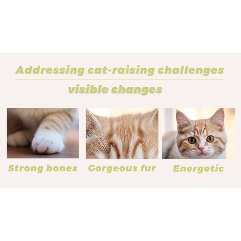 Cat Food Manufacturer - Custom Zipper Sealing Natural Chicken