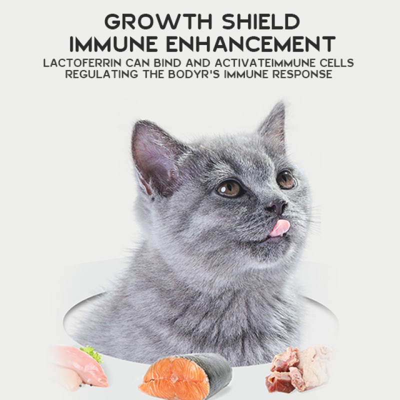 Cat Dry Food Factory - Customized Printing Zipper Raw Chicken