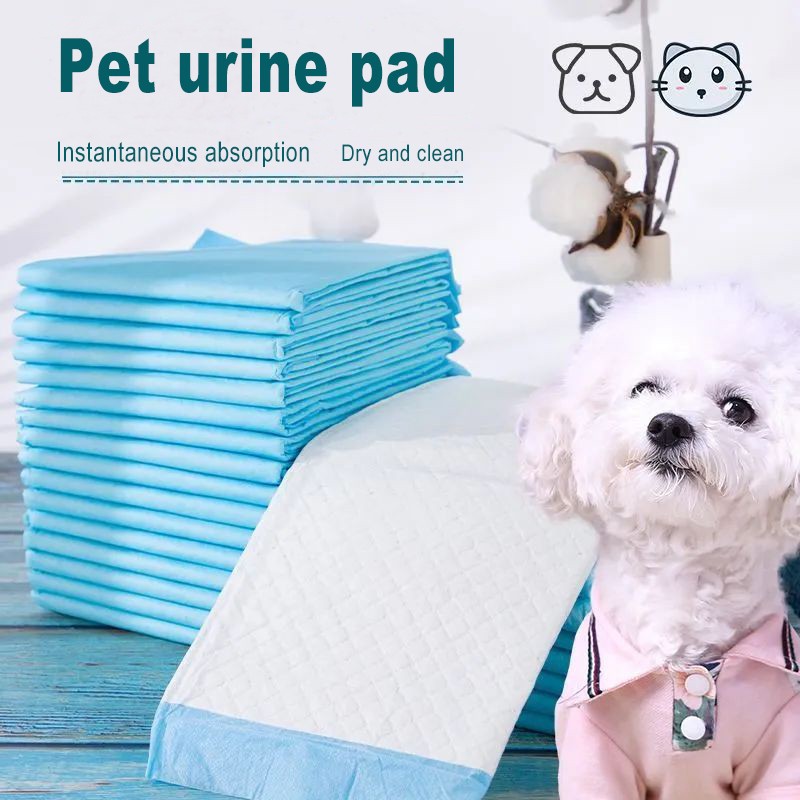 Pet Pads Factory - Super Absorbent Leak-Proof Design