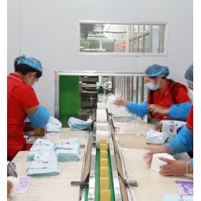 Adult Diapers Factory - Hot Sale OEM Brand Disposable