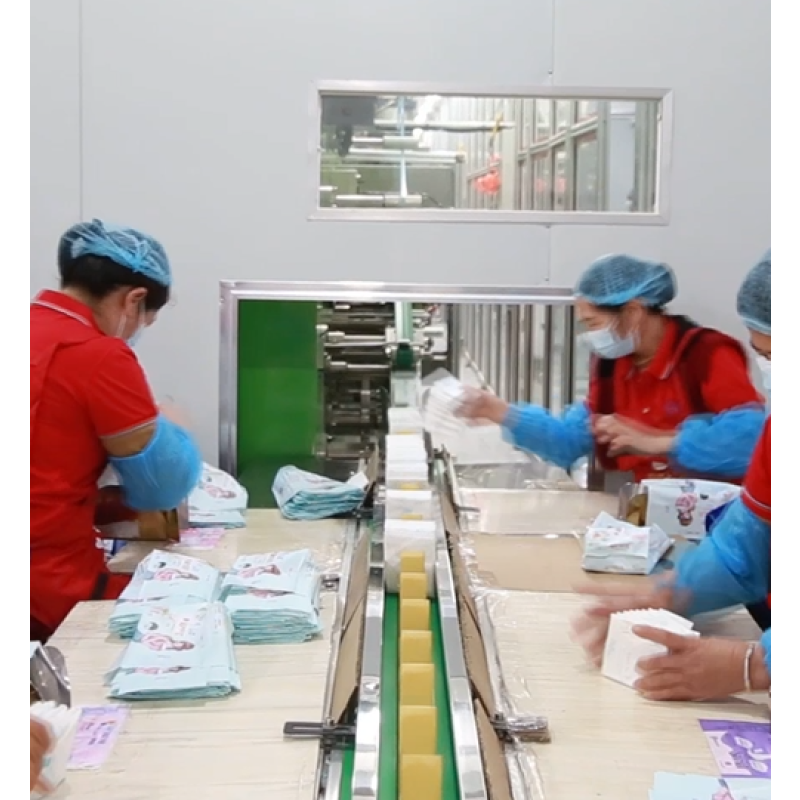 Adult Diapers Factory - Hot Sale OEM Brand Disposable