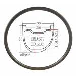 Carbon MTB Rims