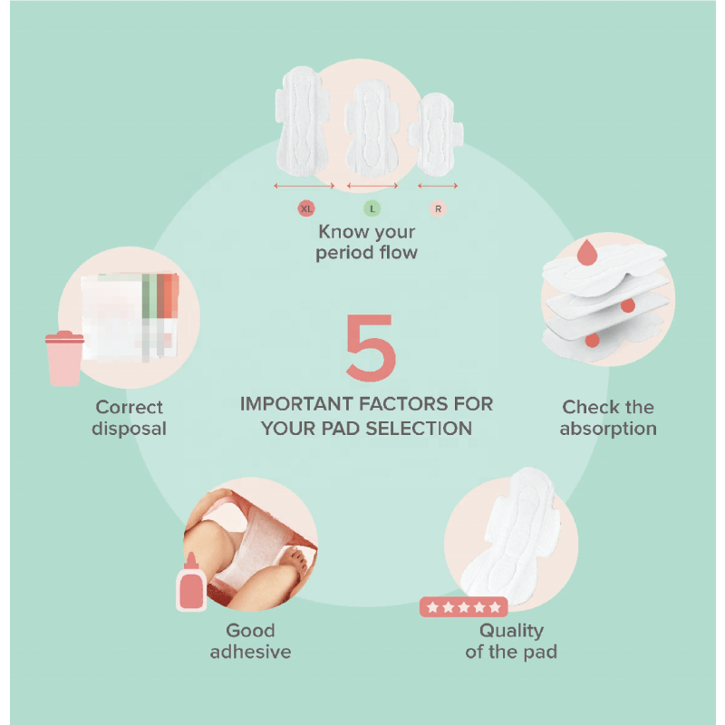 Sanitary Napkins Supplier - Wholesale ECO Friendly Ultra