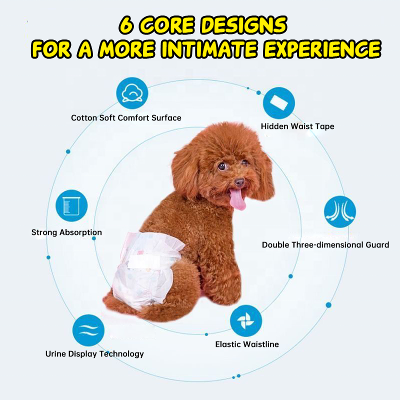 Pet Diaper Manufacturer - OEM High Absorbent Super
