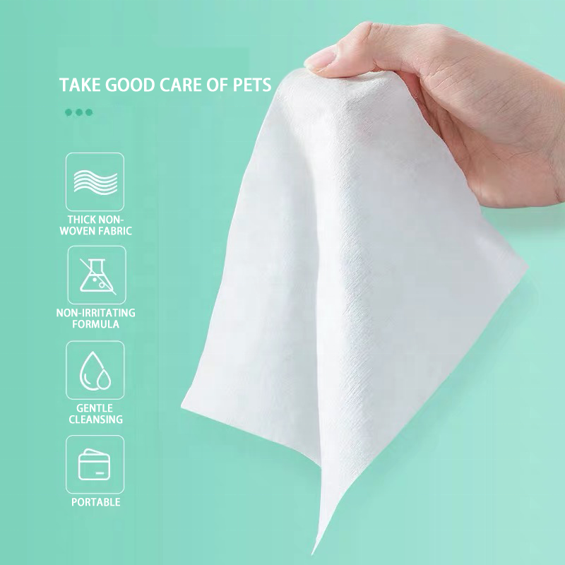 Baby Wet Wipes Factory - Antibacterial Washable Cleaning