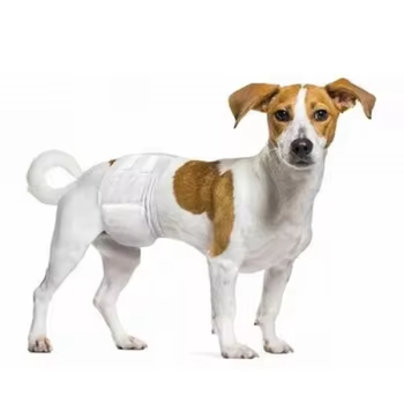 Pet Diaper Factory - OEM Extra Large Eco-Friendly