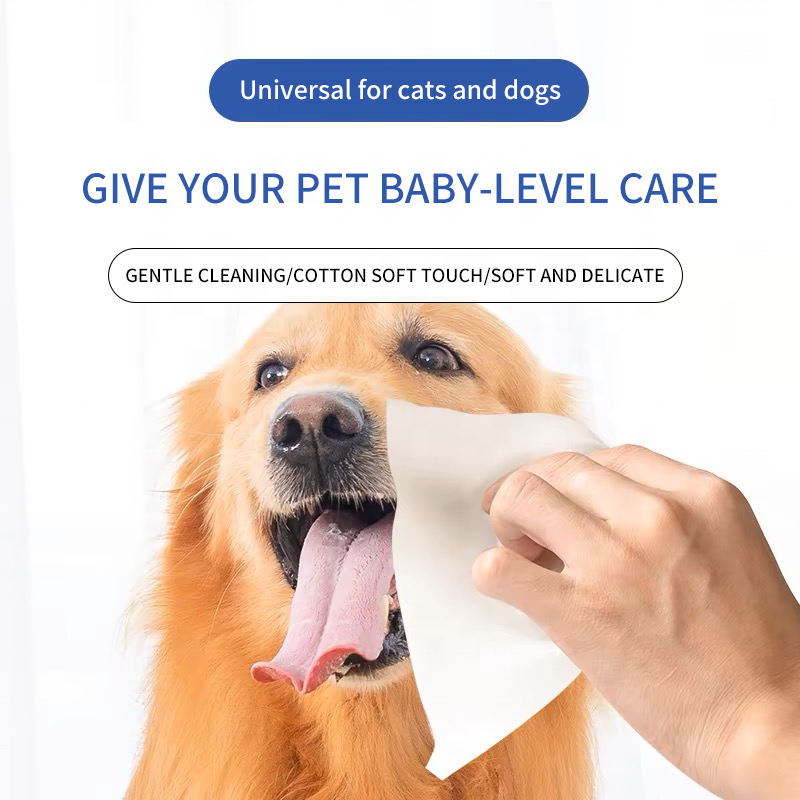Pet Cleaning Wipes Factory - OEM Cheap Soft Good