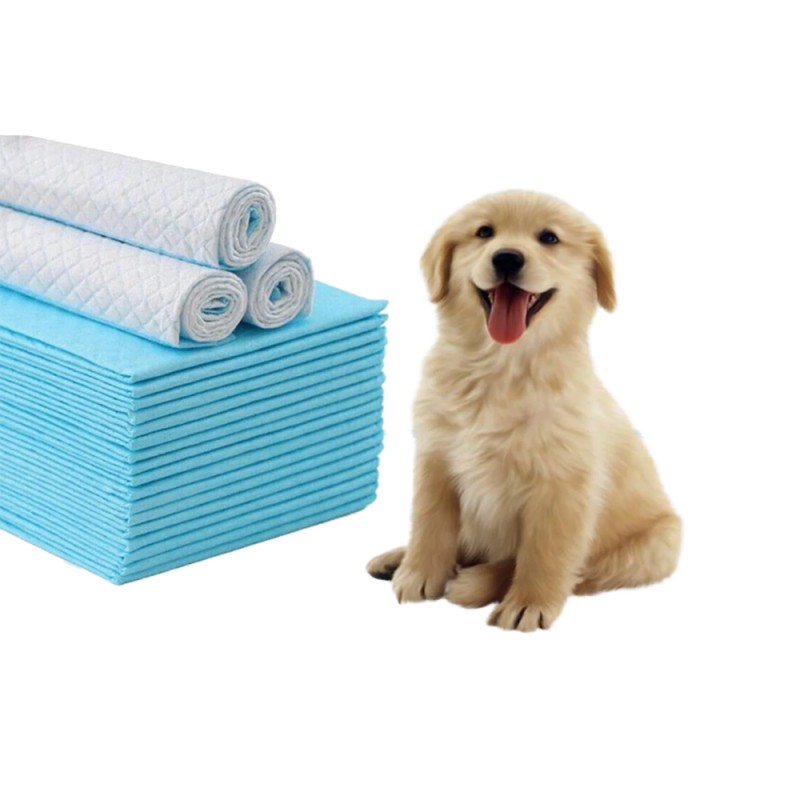 Dog Pee Pads Factory - High Quality Waterproof Scented