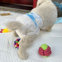 Puppy Training Pads Manufacturer - Pet Diaper Dog Pads