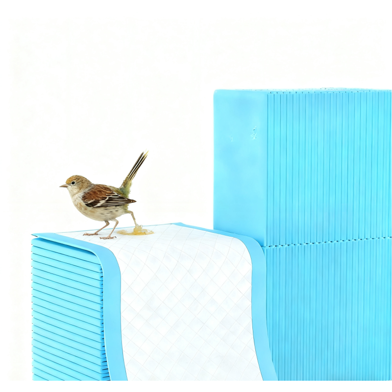 Pet Pads Supplier - Disposable Bird Urine Pads Training