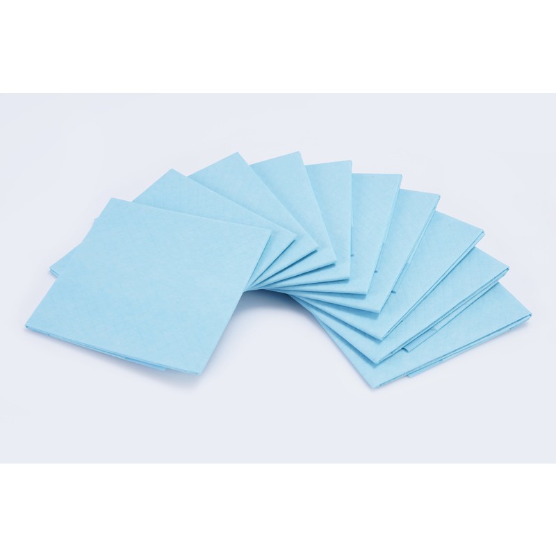 Dog Pee Pads Factory - High Quality Waterproof Scented