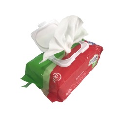 Baby Wipes Manufacturer - Soft Care Fragrance Free