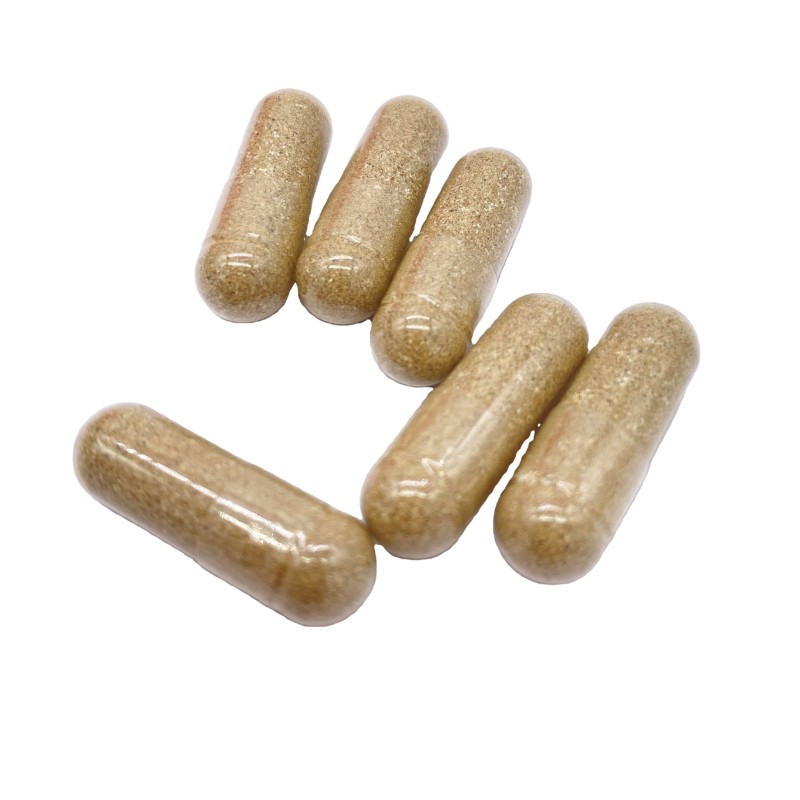 OEM Lion Mane Capsules with Private Label