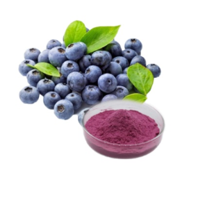 Factory Supply Bulk Organic Blueberry Fruit Powder