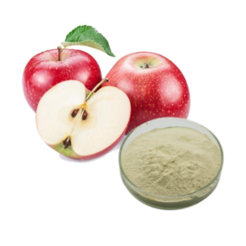 Factory Supply Bulk Organic Dehydrated apple Powder