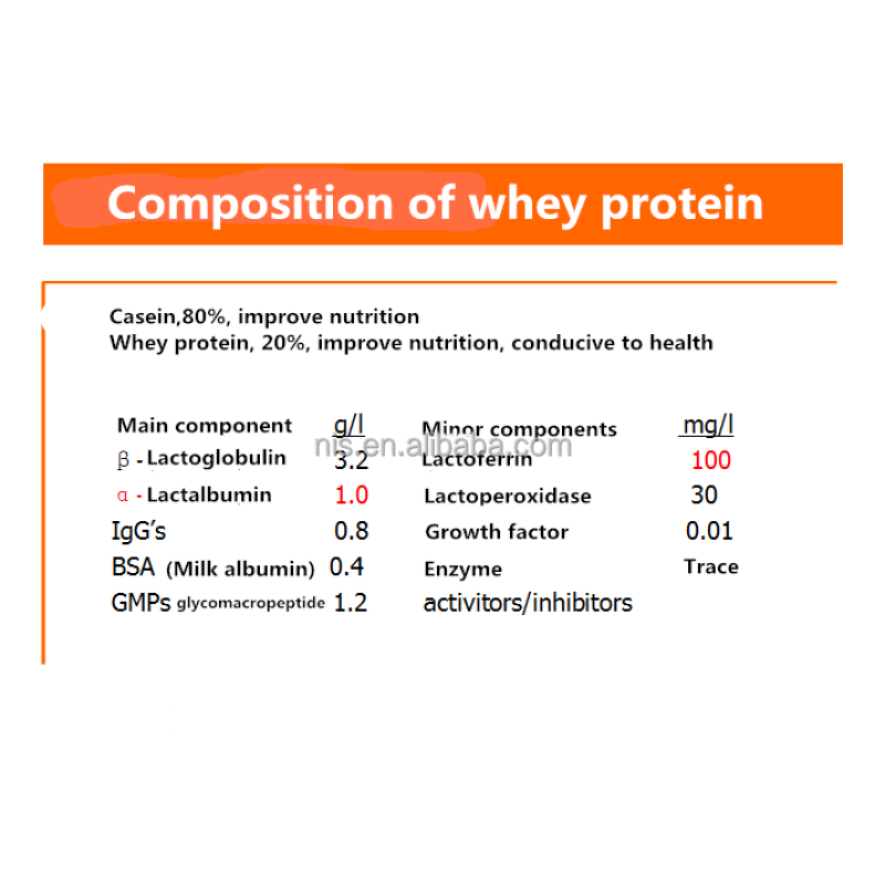 100% Pure Whey Protein Sport Healthcare Food