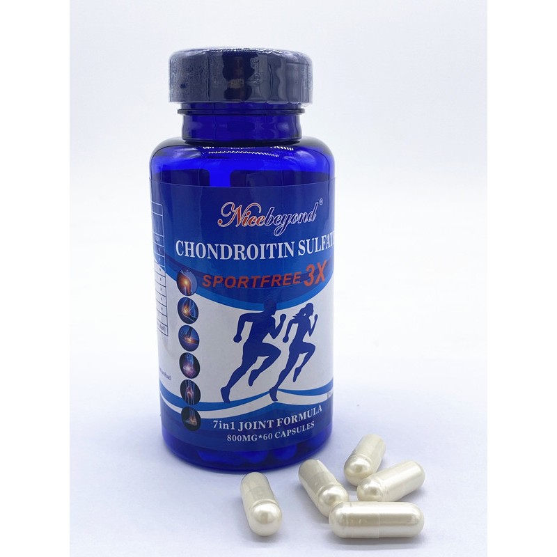 Articular Knee Joint Capsule with Collagen