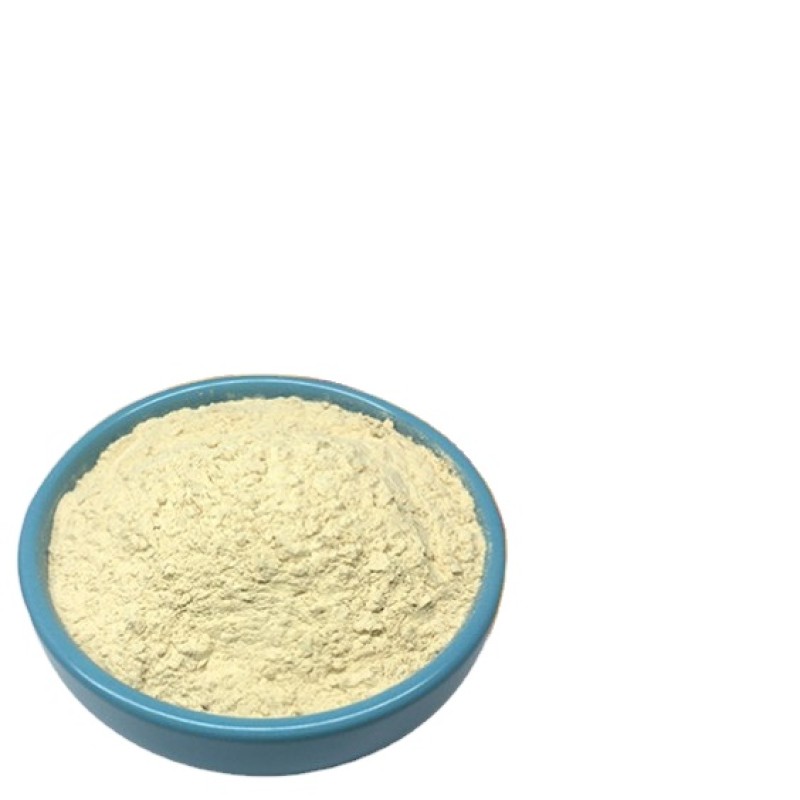 Factory Supply Bulk Organic Dehydrated apple Powder