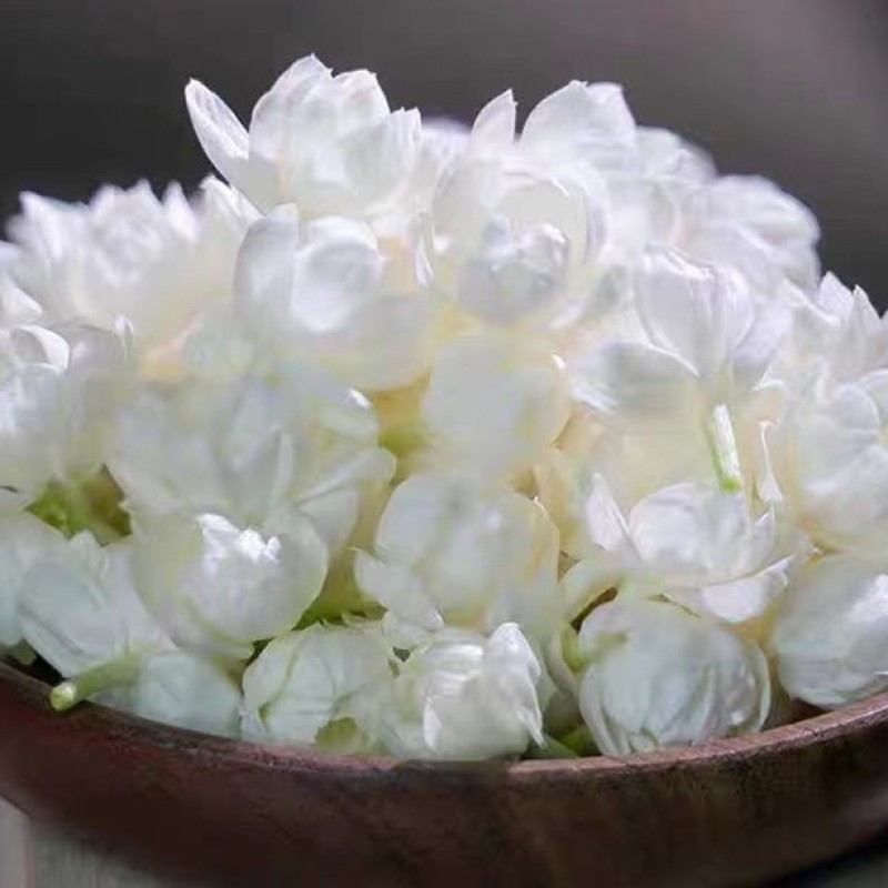 Jasmine Flower Jasmine Tea Jasmine Dried Flower