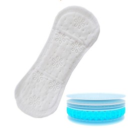 Panty Liner Manufacturer - China Factory Hot Sale Export