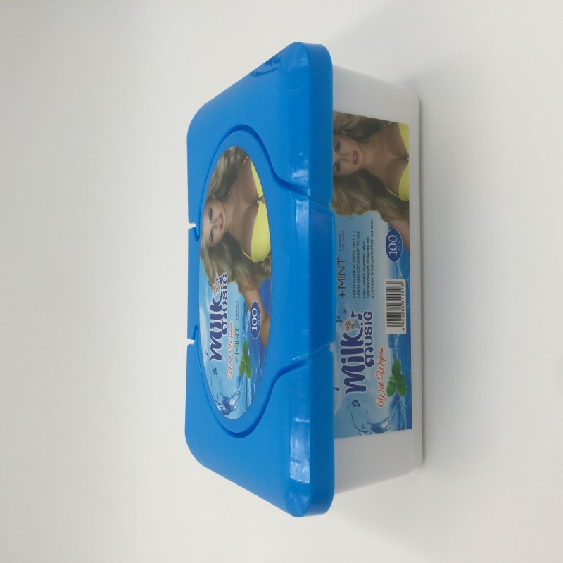 Baby Wipes Factory - Factory Price Private Label